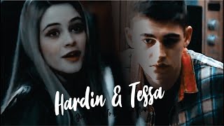 ✨ «Hardin  Tessa  quotI dont want to lose you nowquot» Español ♡ [upl. by Malin]