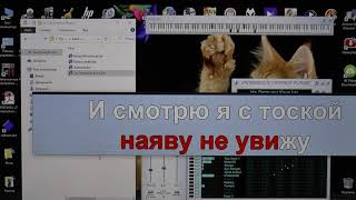 VanBascos Karaoke Player  караоке для компьютера [upl. by Lien]