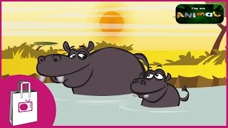 Im a Hippo [upl. by Ricard971]