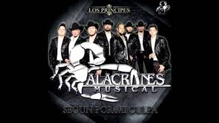 Alacranes Musical cumbias Mix [upl. by Noyahs837]