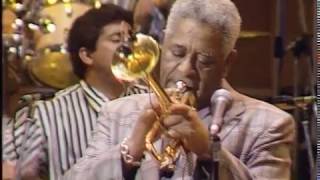 Dizzy Gillespie And The United Nations Orchestra  Live At The Royal Festival Hall London 1991 [upl. by Aremihc603]