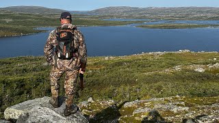 Newfoundland Moose Hunt 2023 Part 3 [upl. by Xerxes]