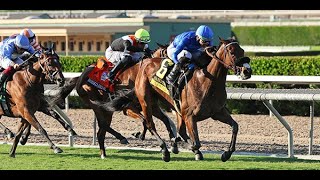 Rodeo Drive Stakes G2 2024 [upl. by Brodench]