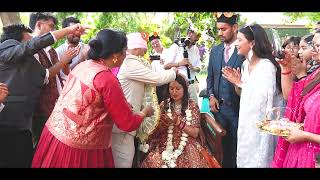 ROHIT WEDS PRIYANKA  LAHAULI WEDDING HIGHLIGHTS [upl. by Ylatfen245]