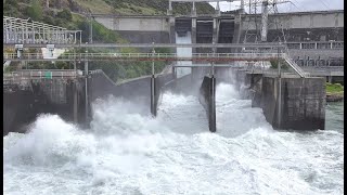 BREAKING NEWS Roxburgh Dam spillway  Clutha River after heavy Rain  by Drone [upl. by Poirer247]