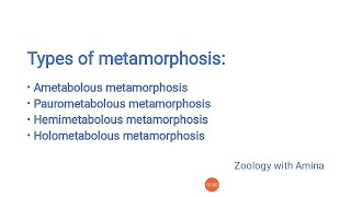 Types of metamorphosis  Metamorphosis and its types [upl. by Frame]