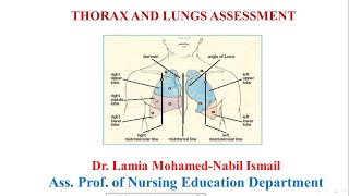 Respiratory Assessment for Nurses [upl. by Davine294]