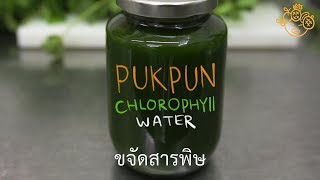 CHLOROPHYLL WATER 4 DAYS [upl. by Bellis]