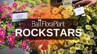 You need these 5 plants in your grower program  BFP Rockstars [upl. by Morna666]