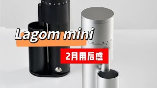 Optiono Lagom mini coffee grinder  Feedback after 2 months using [upl. by Quarta]