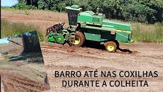 Colheita da soja no barro pra tirar o grão lavoura EP 49 [upl. by Nellek]