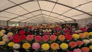 Autumn Harrogate Flower Show [upl. by Siravrat]