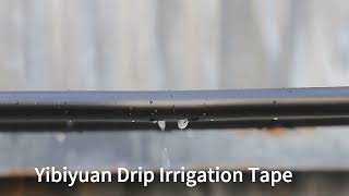 Dual dripper Drip irrigation system kits for 1 hectare of onion pepper tamoto [upl. by Savitt485]