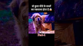 वो कुत्ता अपना फ़र्ज़ निभाता है  dog movie emotional shorts [upl. by Alra]