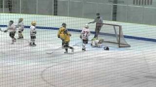 Youth Hockey Goalie Injury [upl. by Schnell346]