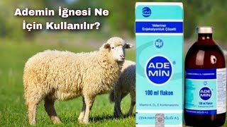 Ademin İlaç Nasıl Kullanılır   Ademin İğnesi Ne İşe Yarar [upl. by Sofie]