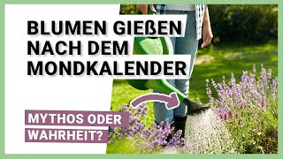 Blumen gießen nach dem Mondkalender  Ist tatsächlich was dran [upl. by Ecnerwal519]