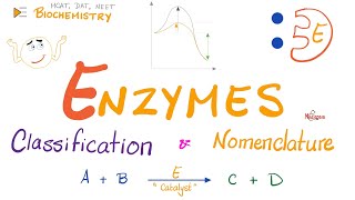 Enzymes Nomenclature and Classifications  Names and Types  Biochemistry 🧪 [upl. by Adnavoj]