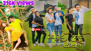 Malen Upan Samanali මලෙන් උපන් සමනළී  Dance Cover by RL DANCERS [upl. by Lizette502]