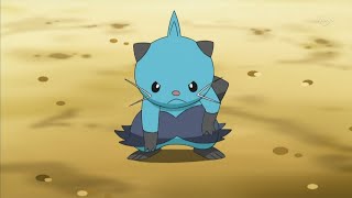 Dewott Clips  Pokemon [upl. by Anyd]