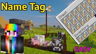 How To Use Name Tags  How To Name Pets In Minecraft In Hindi  LadyBrine [upl. by Polard81]