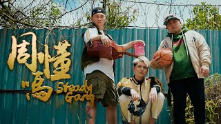 SteadyGang【周懂嗎】Official MV  用ChatGPT AI写一首歌给周杰伦 [upl. by Lewendal]