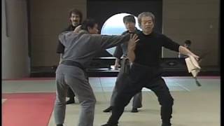 Hatsumi Soke teaches Togakure Ryu Ninpo Santo Tonko Gata Migikataude [upl. by Tania999]