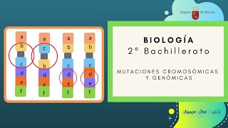 MUTACIONES CROMOSÓMICAS Y GENÓMICAS [upl. by Abott]