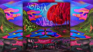 Astrix  Deep Jungle Walk Astrosonic Remix Trippy Video [upl. by Loy]