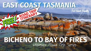 Bicheno to Bay of Fires Free Campsites on North East Tasmania [upl. by Salis]