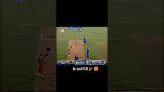 cricket short video video ytshorts respect rss cricket shortsvideo [upl. by Kaehpos]