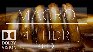 Macro HDR 4K 60fps Dolby Vision  Laowa 24mm Probe Lens [upl. by Shulman]