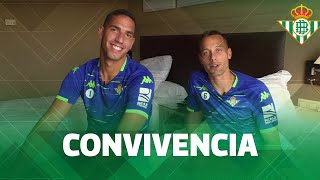 La convivencia de CANALES y JOEL ROBLES durante una concentración  TEST [upl. by Atnwahsal]