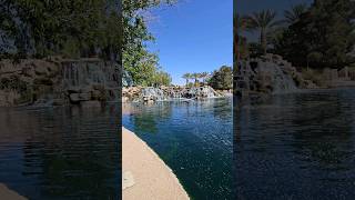 Las Vegas Desert Oasis 🌄⛲️ aliante naturediscovery lasvegaspark vegaspark northlasvegas park [upl. by Halil]