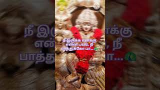 Sinkara velane சிங்கார வேலன் tamil devotionalsong murugan song [upl. by Misty]