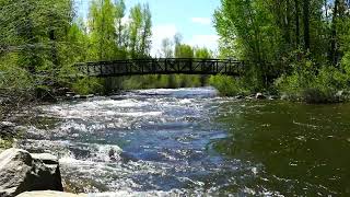 Steamboat Springs Minute  Yampa River [upl. by Alorac]