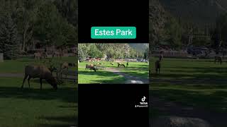 Estes Park colorado rockies [upl. by Doreen]