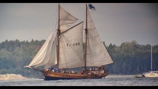 Tall ships race Parade of sails [upl. by Kronfeld]