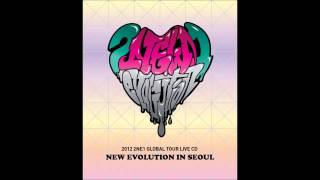 2NE1  SCREAM NEW EVOLUTION LIVE IN SEOUL AUDIO [upl. by Burkhard]