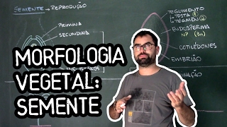 Organologia da Semente  Aula 23 Botânica Prof Guilherme [upl. by Seigler167]