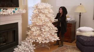 Bethlehem Lights Flocked Christmas Tree with Instant Power on QVC [upl. by Nugesulo662]