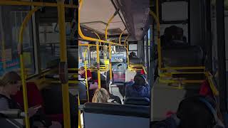 Ballarat bus trending ballarat foryou travel viralshort shorts viralvideo viralreels [upl. by Akinhoj874]