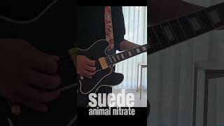 Suede  Animal Nitrate Guitar Cover [upl. by Nagy]