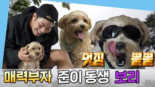 주간 예능연구소😎카페사장 최준에겐 동생이 있었으니🐶매력부자 보리✨나 혼자 산다전지적 참견 시점복면가왕  MBC 220701 등 방송 [upl. by Aniger]