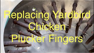 Yardbird Chicken Plucker Replacing plucker fingers [upl. by Azyl102]