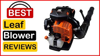 🏆 Best Backpack Leaf Blower Amazon In 2023 ✅ Top 5 Tested amp Buying Guide [upl. by Enautna643]