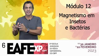 EAFExp 2023  Módulo 12  Magnetismo em Insetos e Bactérias [upl. by Beetner512]