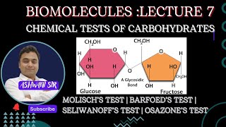 MOLISCHS TEST II OSAZONE amp BARFOEDS TEST FOR CARBOHYDRATES II BIOMOLECULES CLASS 12 CHEMISTRY [upl. by Suciram534]