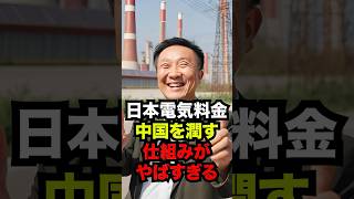 日本の電力料金が中国に流れる理由がガチでやばい。日本終わったかも。。。海外の反応 日本 shorts [upl. by Previdi75]