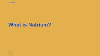 What is Natrium [upl. by Ayatal626]